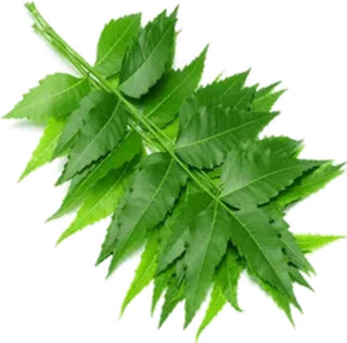 Neem